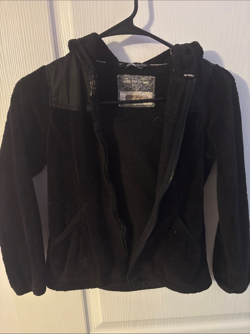 The North Face Black Hooded Fleece Jacket